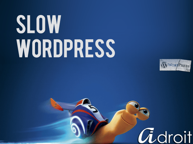 Why is my WordPress site slow?